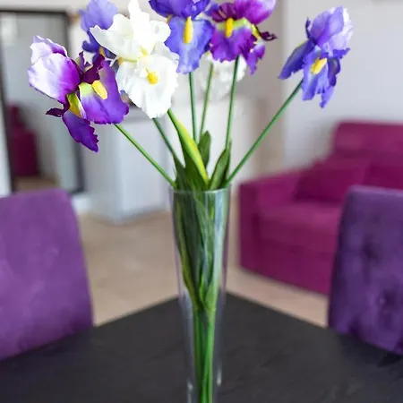 Happy Vibes Apartament Apartmán *
